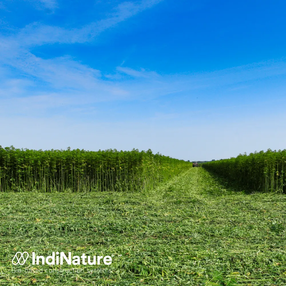 100mm IndiNature IndiTherm Hemp Flexibatt Insulation - 1200 x 370mm (1.78m²)