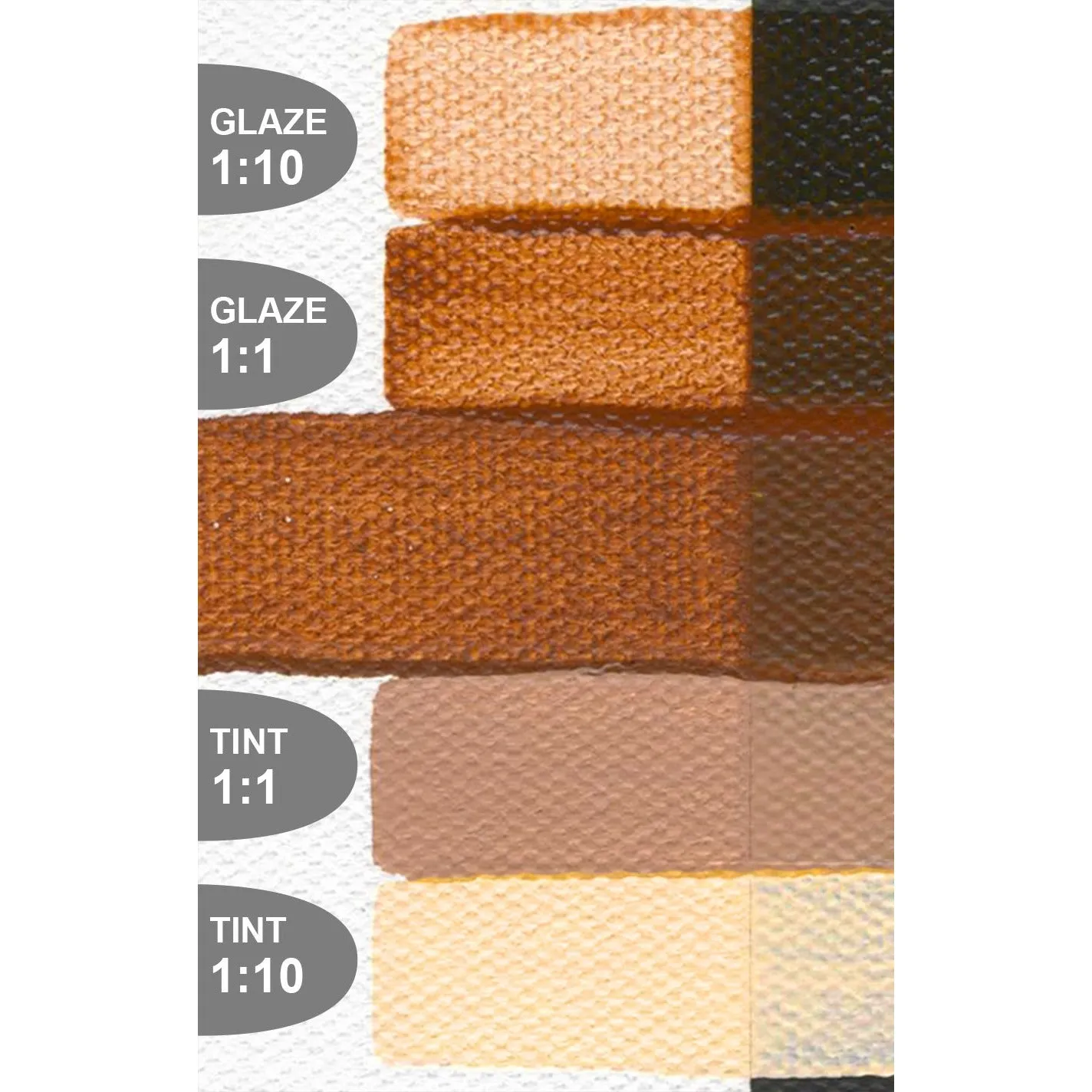 Golden Fluid Acrylic Colors (Brown & Earth Colors)